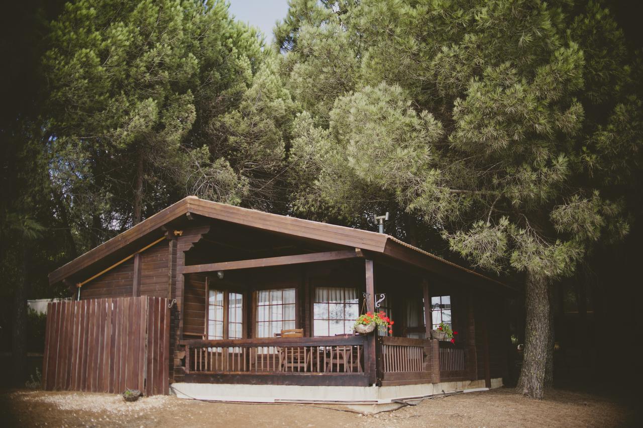Hotel Kibbutz Ortal Tourism Exterior foto