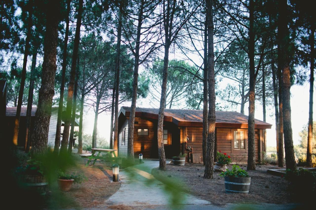 Hotel Kibbutz Ortal Tourism Exterior foto
